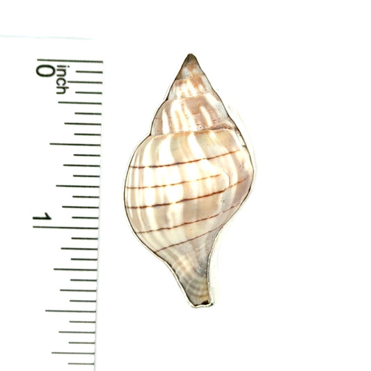 Banded Tulip Veiled Bail Pendant