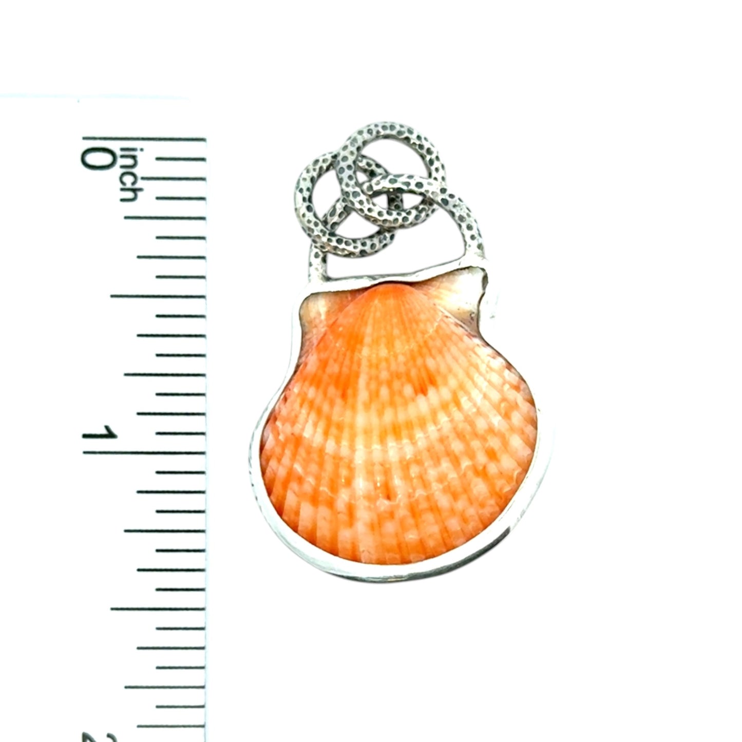 Double Sided Scallop Pendant