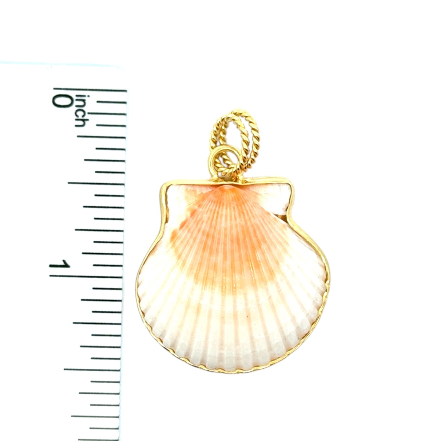 Gold Scallop Pendant