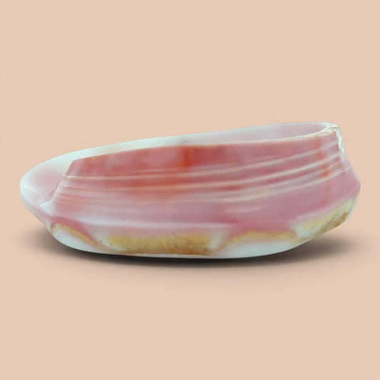 Queen Conch Bangle