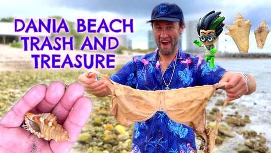 Dania Beach - Trash and Treasure