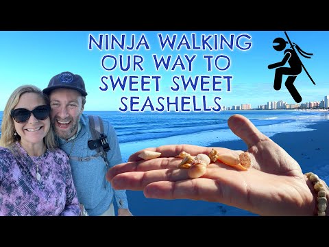 Ninja Walking our way to sweet sweet Seashells