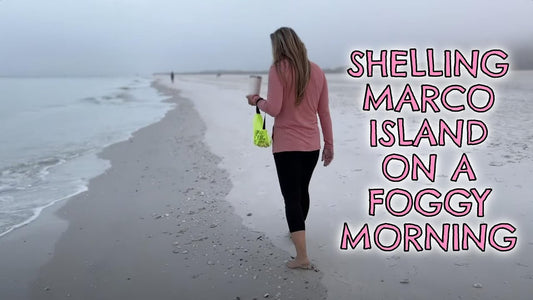 Shelling Marco Island on a Foggy Morning
