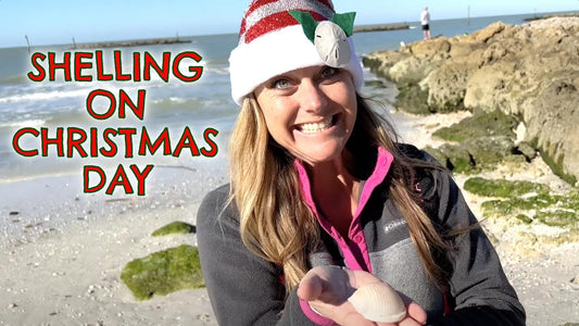 Shelling on Christmas Day