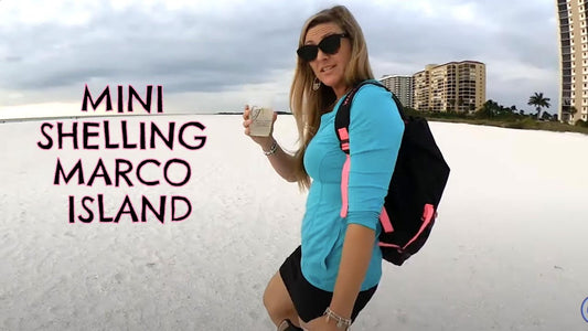 Mini Shelling Marco Island Beach with the Girls