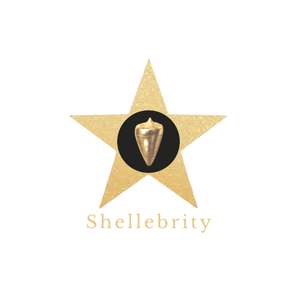 shellebrity