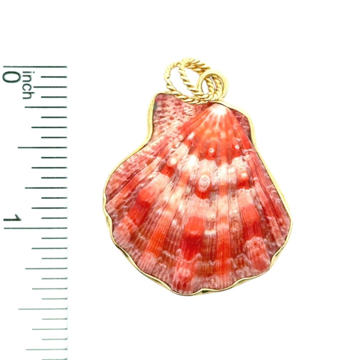 Gold Lion's Paw Pendant