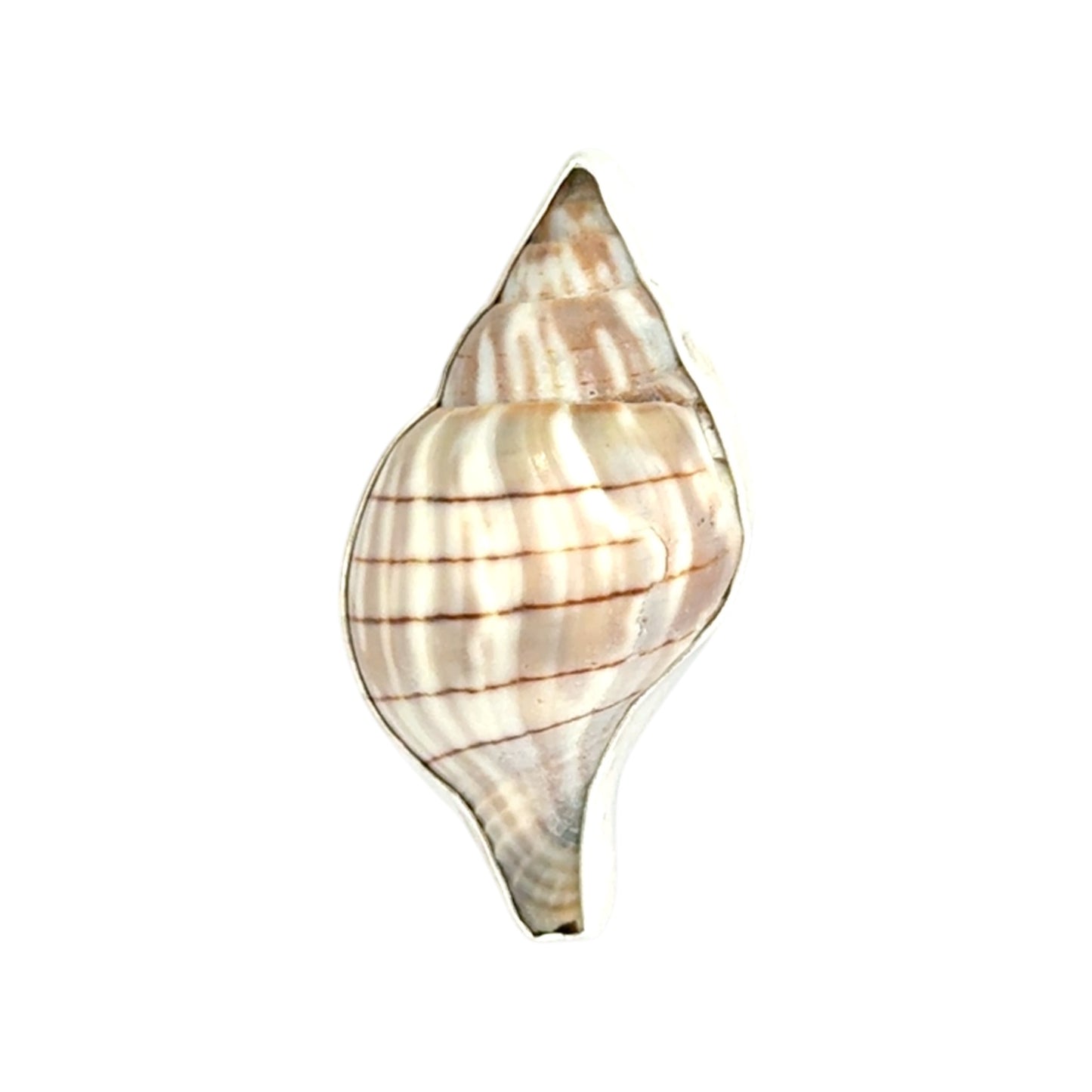 Banded Tulip Veiled Bail Pendant