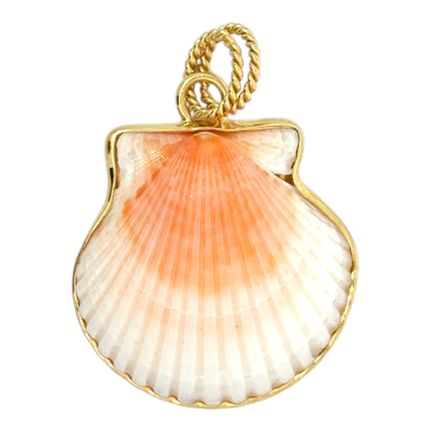 Gold Scallop Pendant