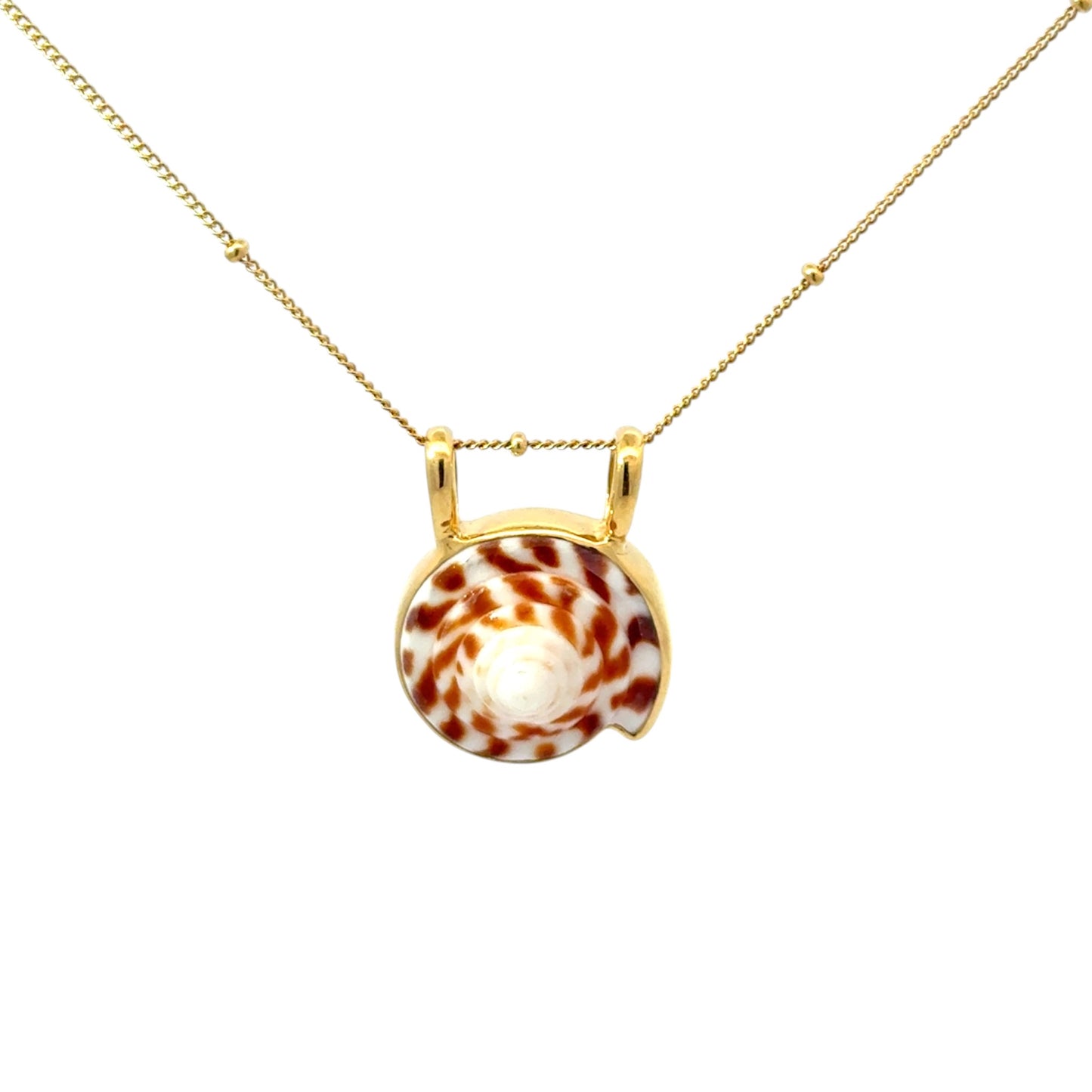 Alphabet Cone Gold Seashore Necklace