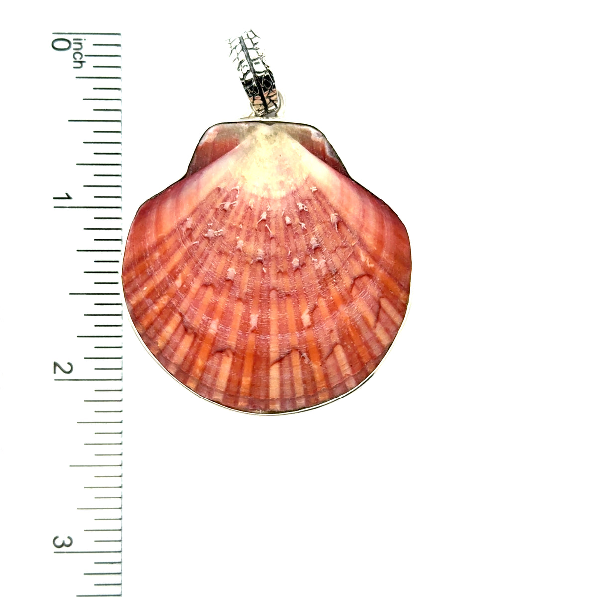 Zig Zag Flat Scallop Pendant 3