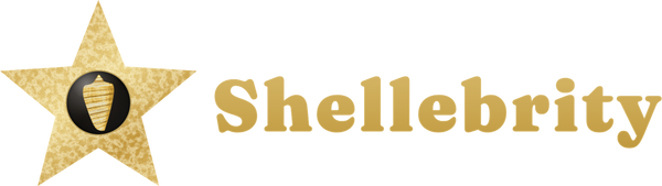 Shellebrity logo — gold star with gilt cone shell beside the Shellebrity wordmark
